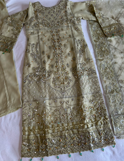 sage green organza embrioded kameez