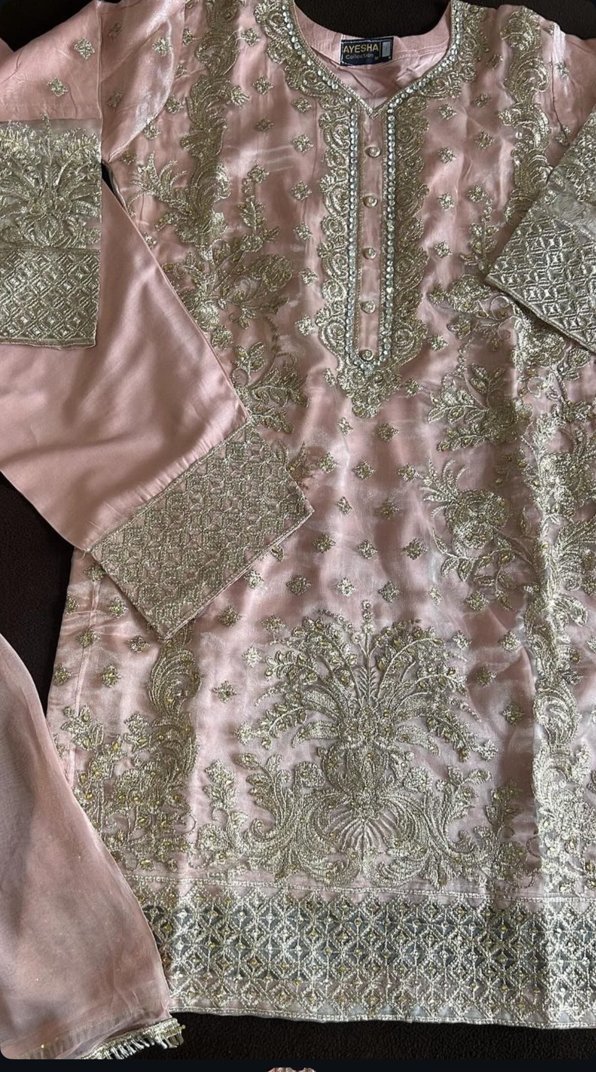 Organza embrioded kameez