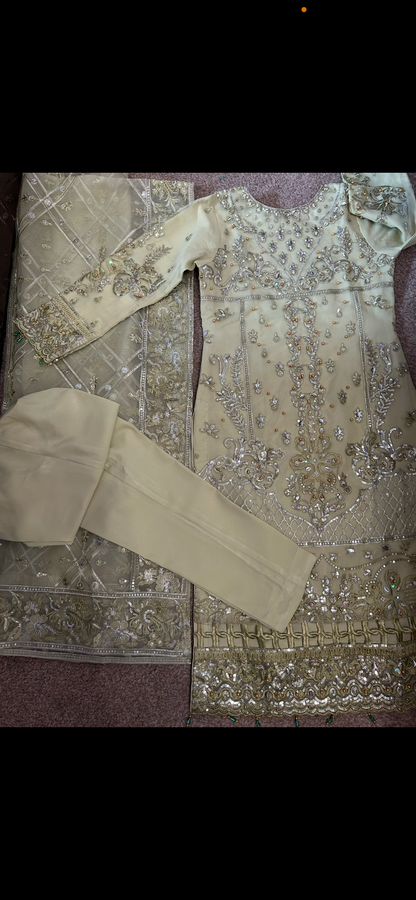 sage green organza embrioded kameez