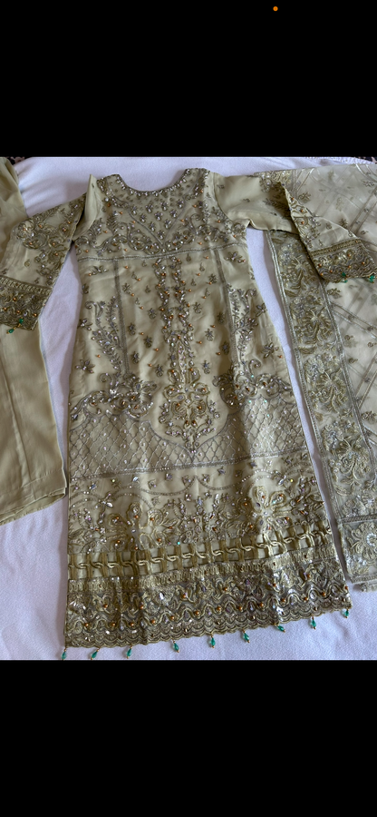 sage green organza embrioded kameez
