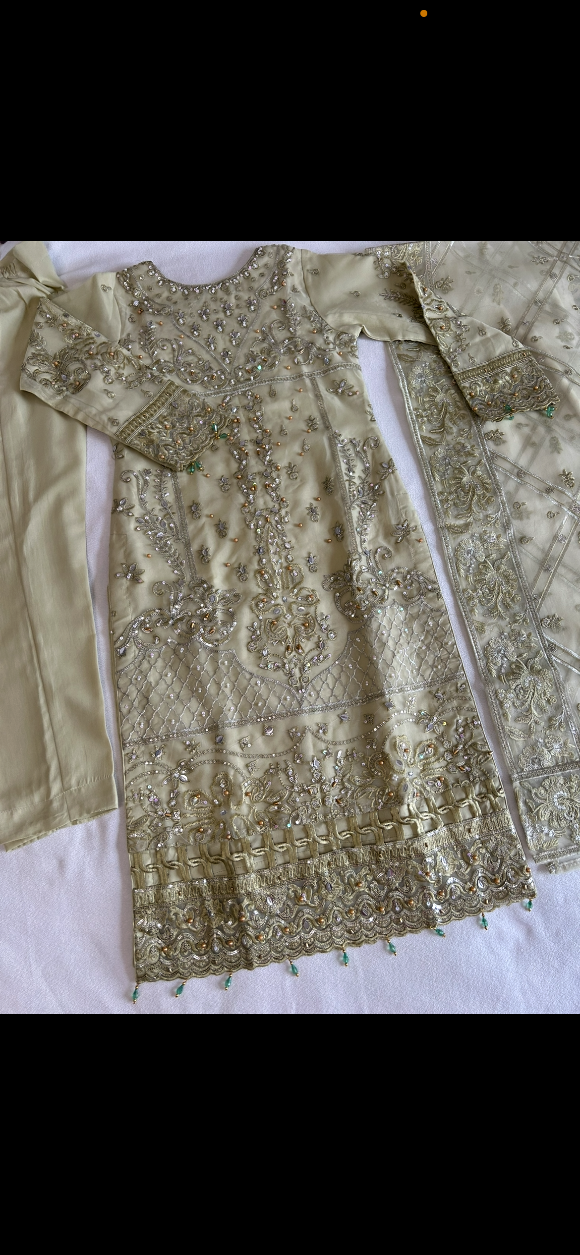 sage green organza embrioded kameez