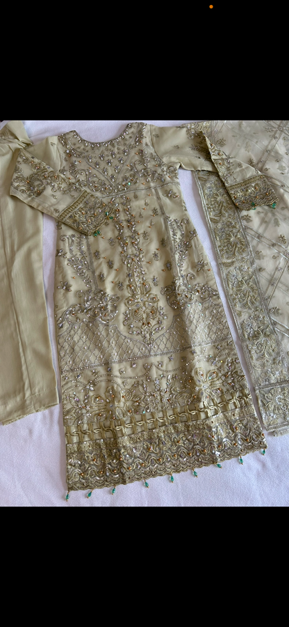 sage green organza embrioded kameez